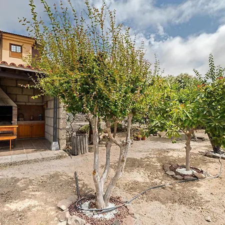 La Tunera * La Cisnera